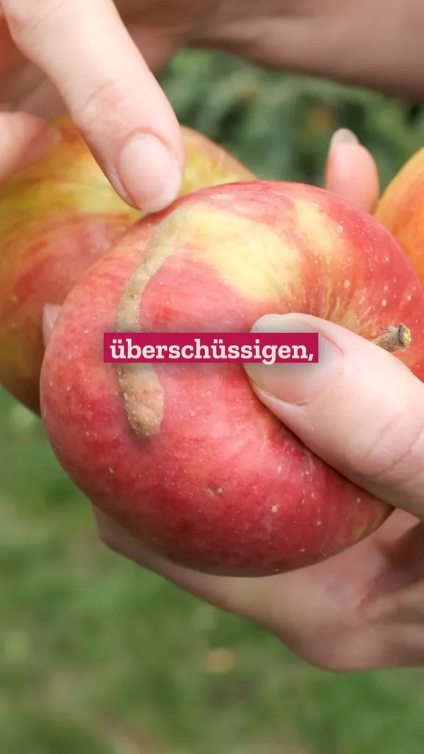 Reel für Unverschwendet