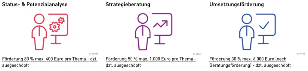 Förderstufen der KMU.Digital: Analyse 80 %, Strategie 50 %, Umsetzung 30 % – die Förderung ist seit September 2026 eingestellt.