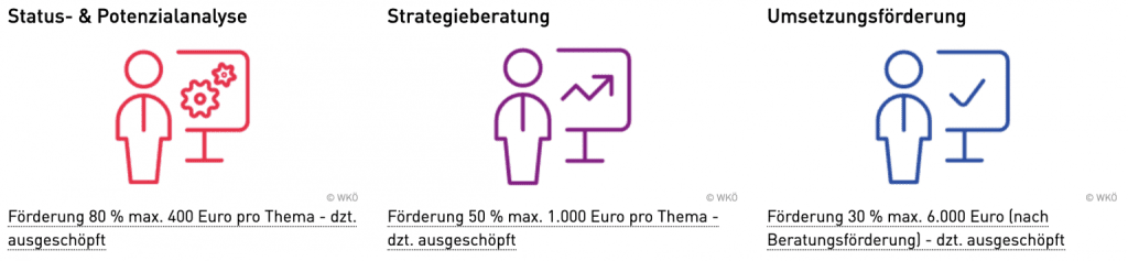 zb kmu digital foerderung schritte
