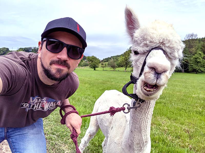 Mann mit Sonnenbrille, Baseball-Cap führt ein Alpaka an der Leine
