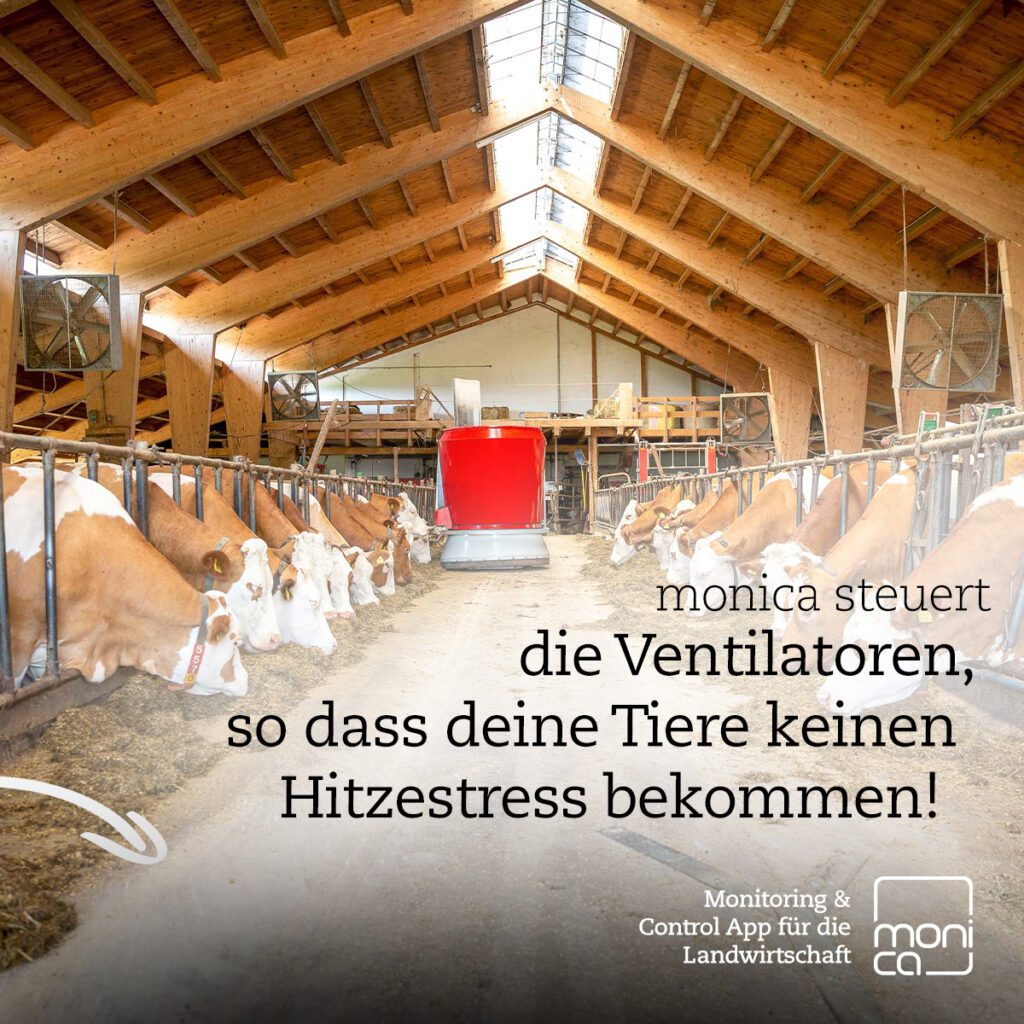 Laufstall mit Kühen und Ventilatoren, in der Mitte ein Fütterungsroboter; Text verweist auf automatische Steuerung durch die App „monica“.